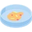 petri-dish